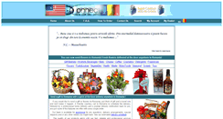 Desktop Screenshot of econnect-usa.com